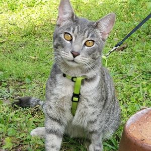 Meet your Posher, Elizabeth